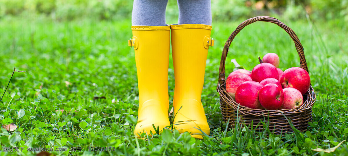 穿 雨靴 儿童 苹果 水果篮子 靴子 穿雨靴的儿童 草地 珠宝服饰 生活百科 绿色