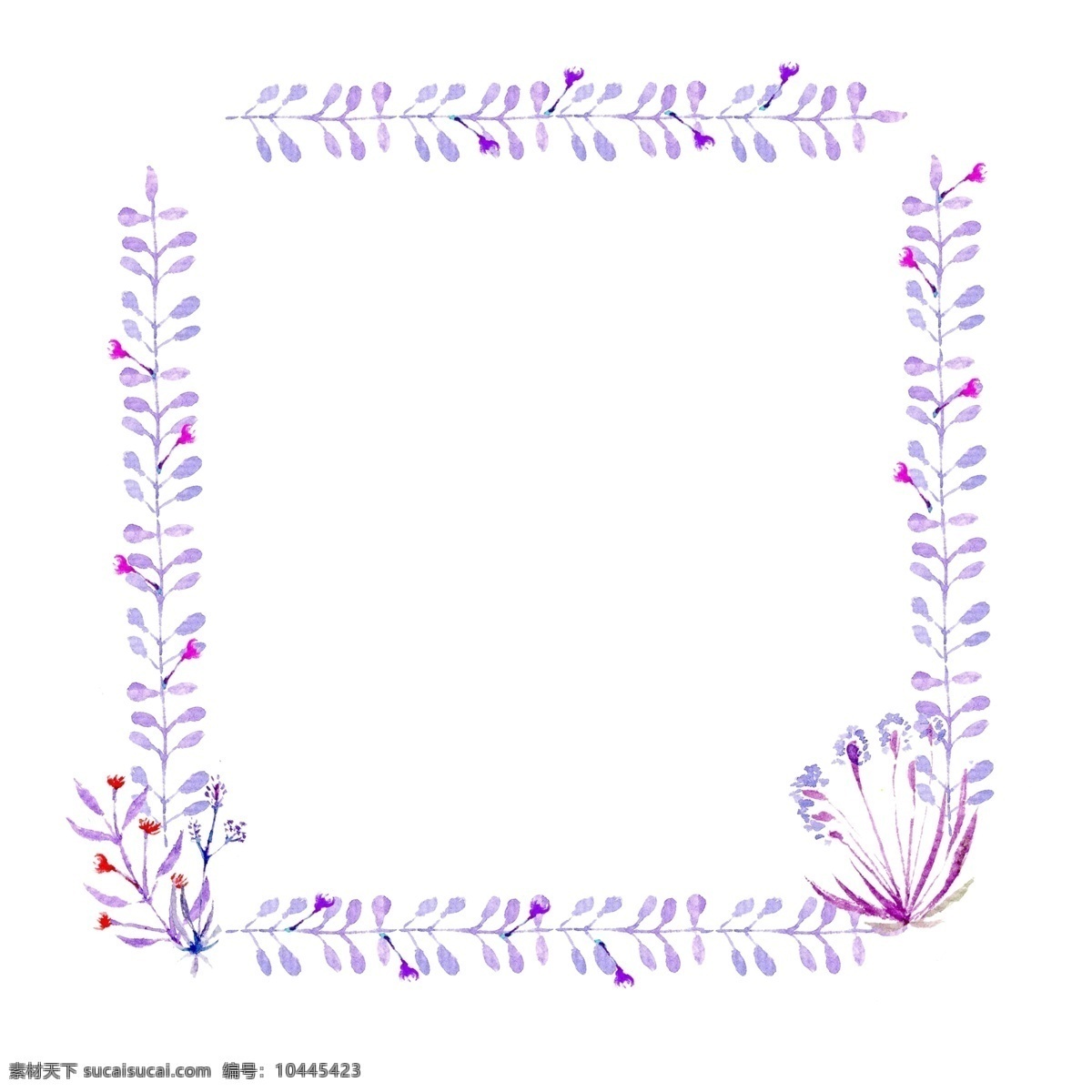 紫色 水彩 唯美 花 框 花草 水彩唯美花框 水彩花 小清新花环 花边花卉花朵 花朵花纹边框 唯美花边