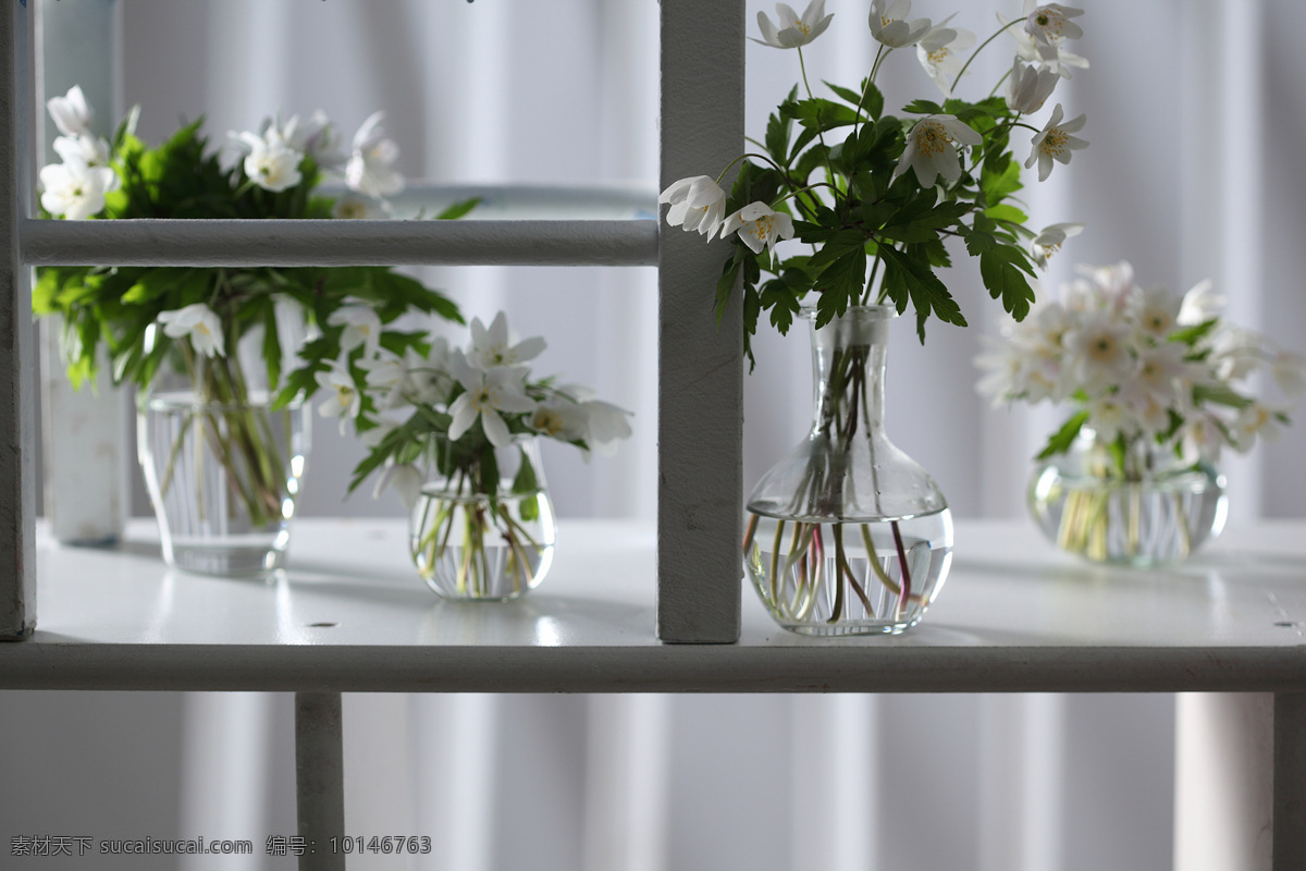 玻璃 花瓶 雪 滴 花 美丽鲜花 玻璃花瓶 白色花朵 漂亮花朵 花卉 鲜花摄影 花草树木 生物世界