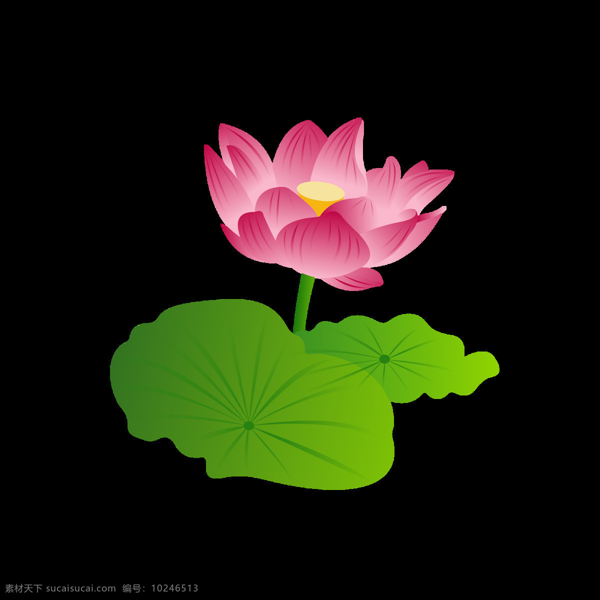 矢量 荷花 夏天 元素 元素设计 植物 花 粉色