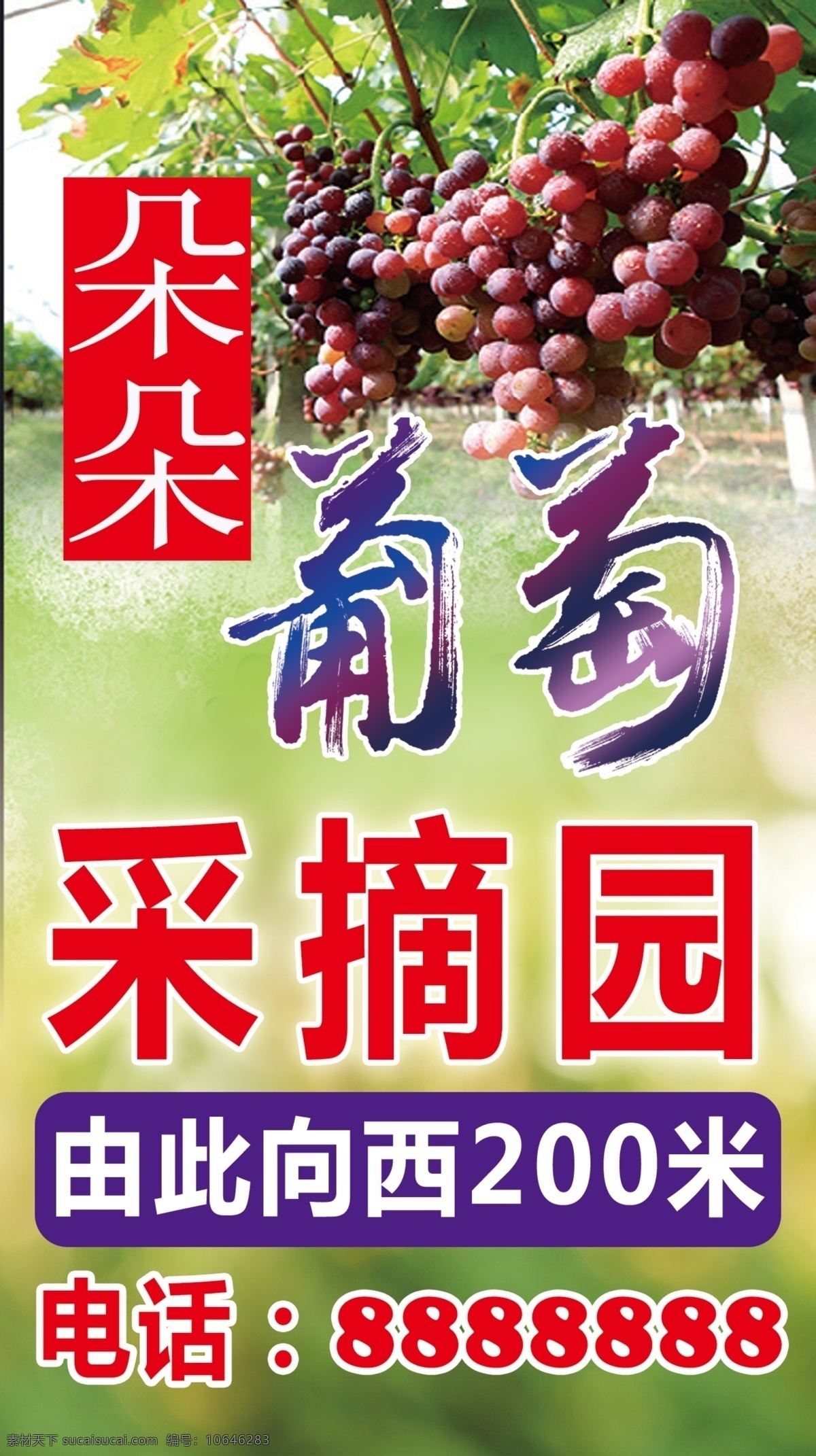 葡萄采摘园 葡萄 采摘园 绿色 指示牌 展板 刊板 展板模板