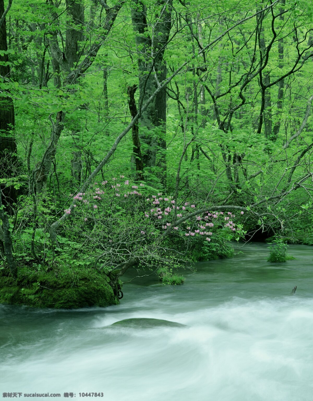 醉美自然美景 绿色 树木 美景 河流 陶醉 多娇江山 自然景观 自然风景