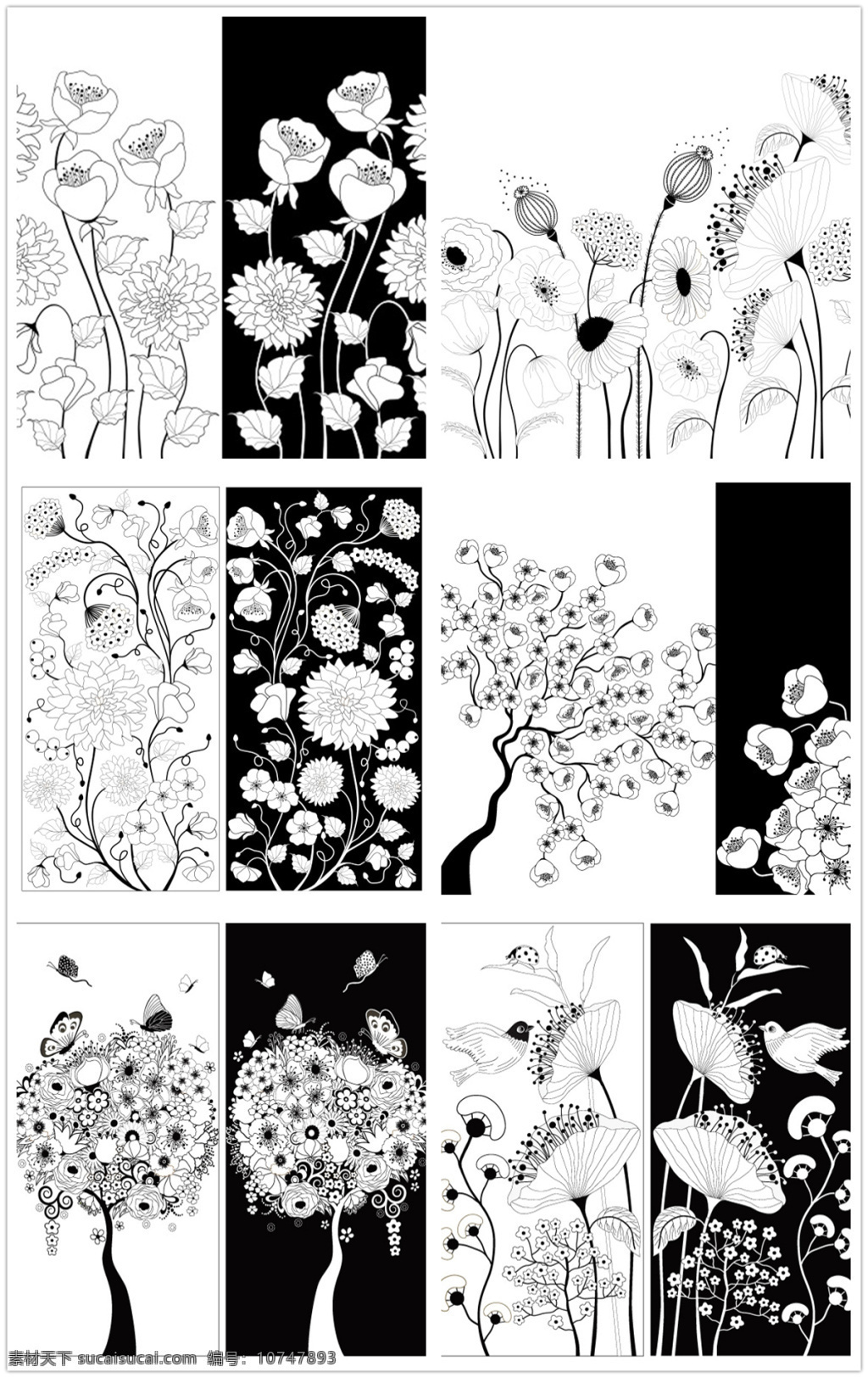 黑白 花朵 装饰 矢量 黑白花朵 装饰画 卡通植物 花瓣 美丽鲜花 漂亮花朵 花卉 花草树木 矢量花朵 生物世界 矢量素材 白色
