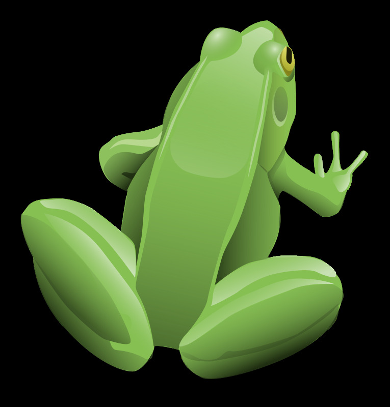 绿色 青蛙 坐 池塘 动物 绿 自然 两栖动物 评论的问题 蛙 混音 你的问题 蟾蜍 水 插画集