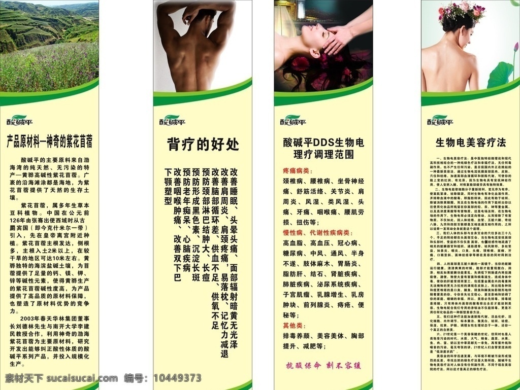 养生保健 养生 保健 背疗 保养 头疗 展板模板
