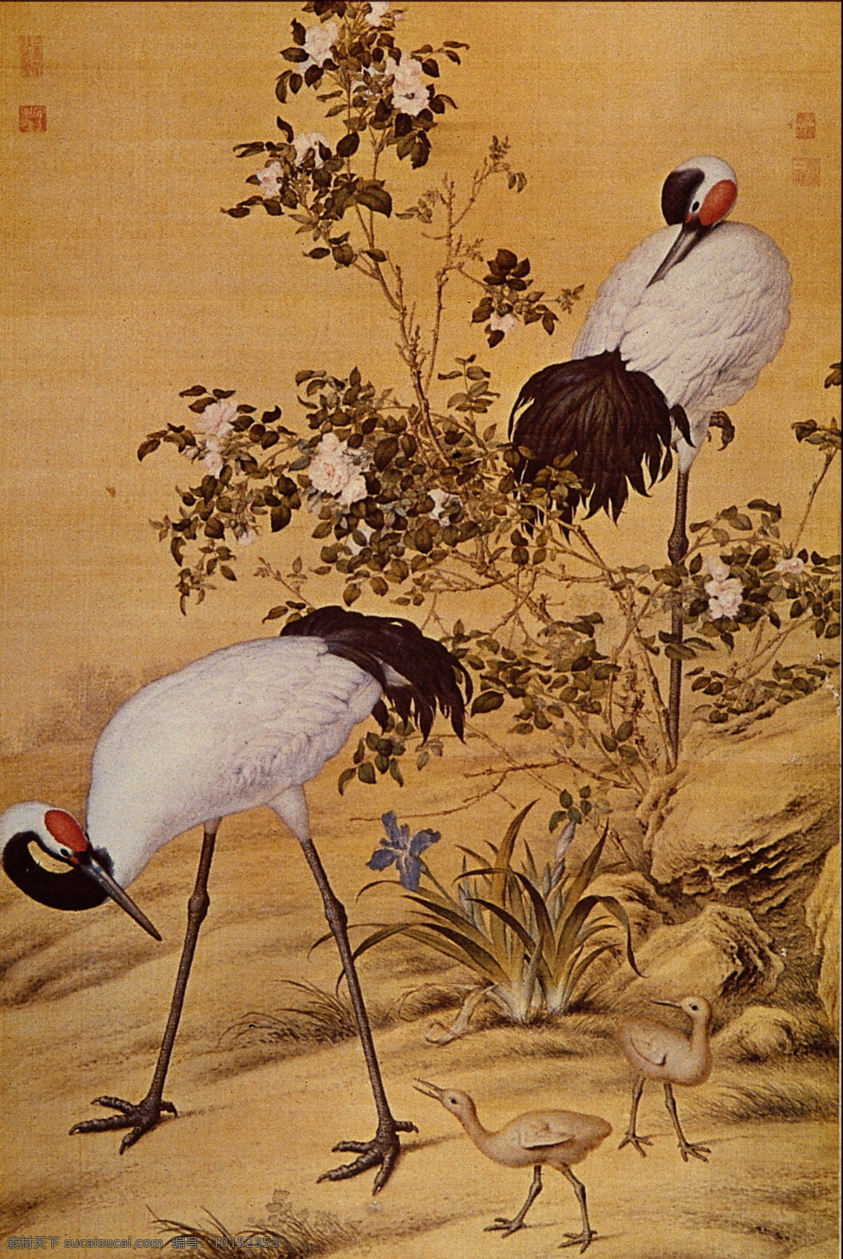 花鸟名画 中国 古 藏 中国古藏 设计素材 古典藏画 书画美术 棕色