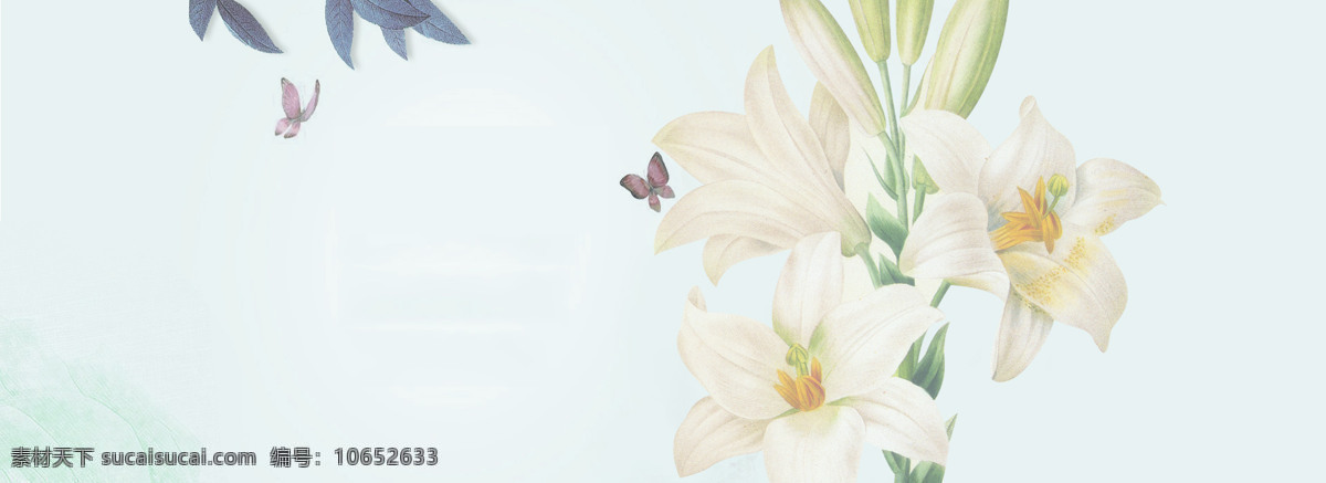 清新 白色 花朵 banner 背景 白色花朵 花瓶 装饰