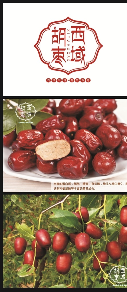 西域胡枣logo设计素材图片下载-素材编号10453613-素材天下图库