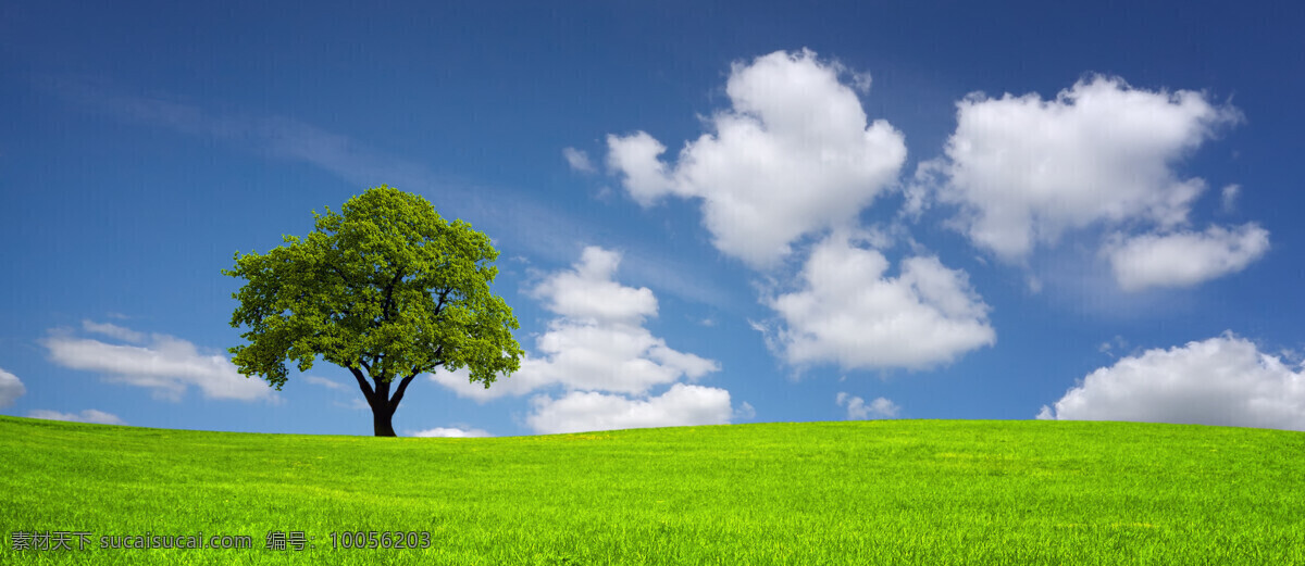 春天 大自然 风光图片 春天景色 花园景色 大树 立体白云 绿草地 植物 自然风景 山水风景 风景图片