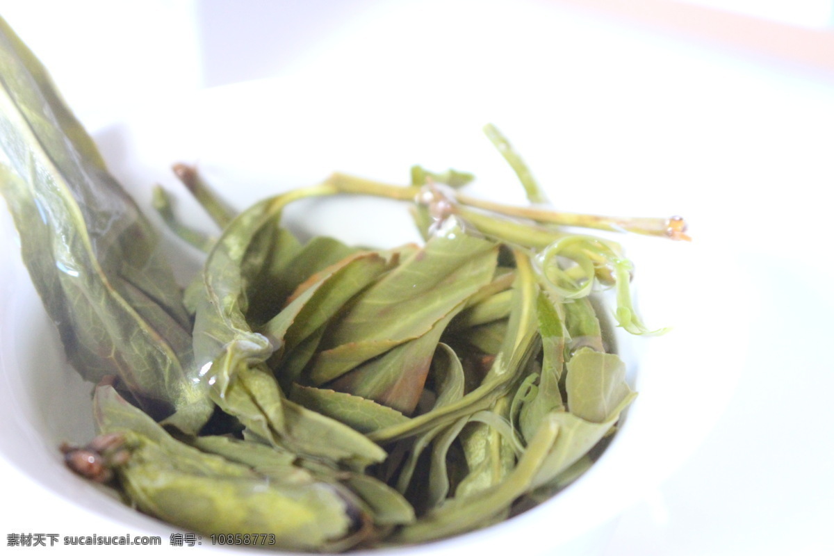 抽湿鸭屎香 凤凰单枞茶 潮汕茶 鸭屎香 白叶单枞茶 泡茶 茶菜 茶汤 茶叶 茶 功夫茶 清香型 茶叶摄影图 餐饮美食 食物原料