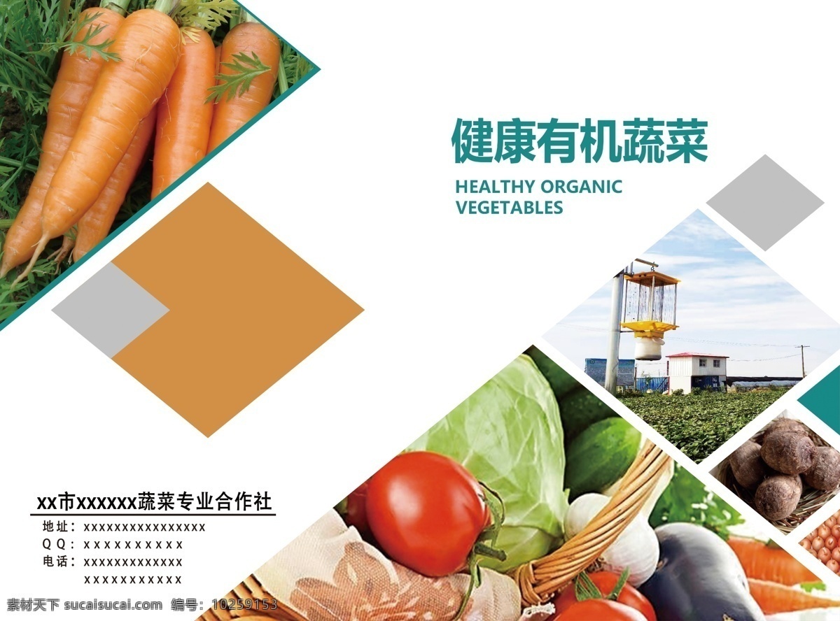 蔬菜 宣传 折页 正反 宣传页 有机蔬菜 土豆 大姜 山腰 圆葱 胡萝卜