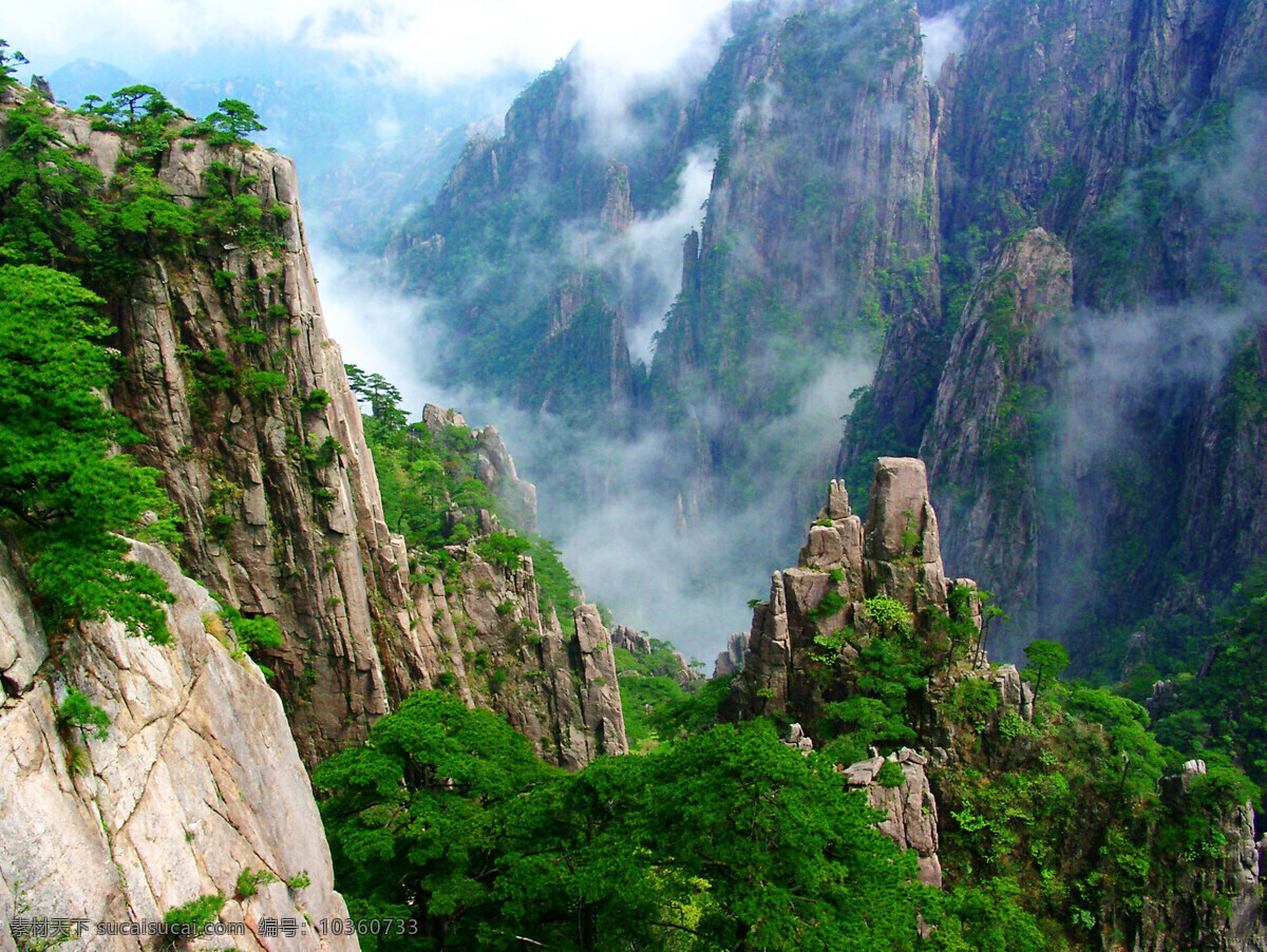 黄山 高山 远山 迎客松 群山 森林公园 自然景观 自然风景