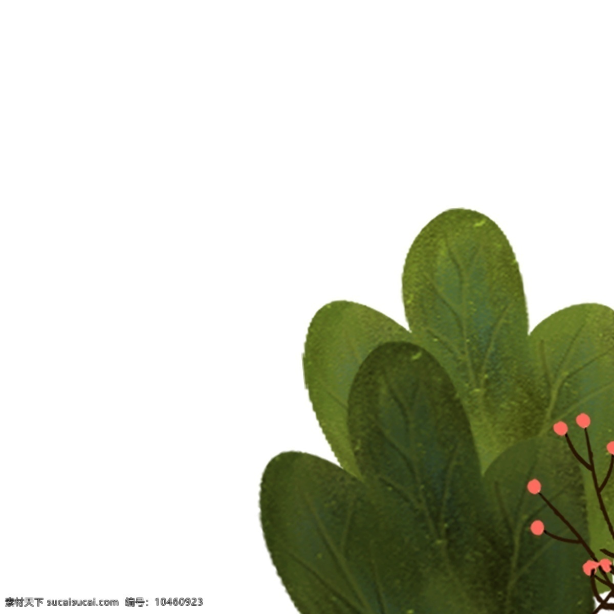 卡通 生态 植物 免 抠 图 红色花朵 叶子 卡通草丛 绿色植物 绿色生态 卡通叶子 绿色枝叶 漂亮的植物 草丛