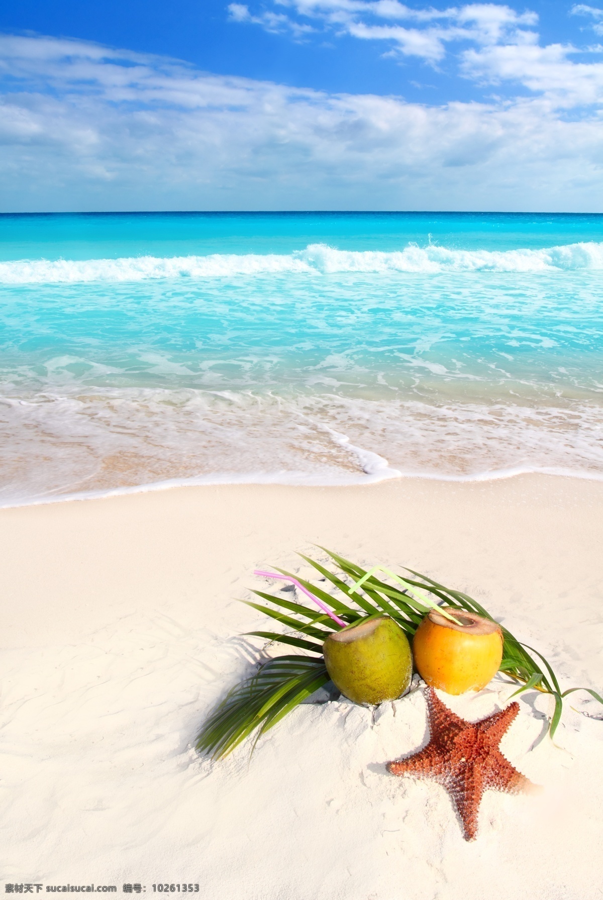 沙滩 上 椰子汁 海星 椰子 海边 海滩风景 大海风景 海面风景 美丽风景 大海图片 风景图片