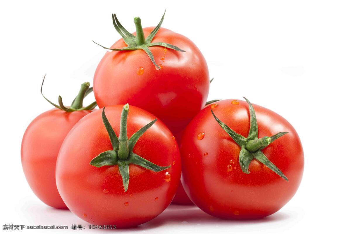西红柿图片 番茄 蔬菜 水果 新鲜 小番茄 圣女果 西红柿 西红杮 水果图 新鲜水果 小西红柿 番茄摆拍 新鲜西红柿 餐饮美食 食物原料