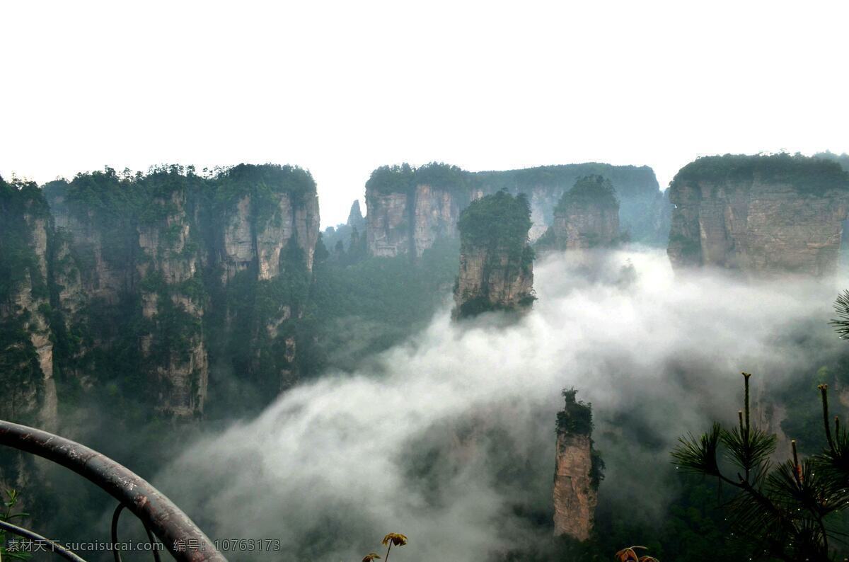 张家界 云雾 雨后 名胜 武陵源 奇石 风景 松树 绝景 山景 自然景观 自然风景