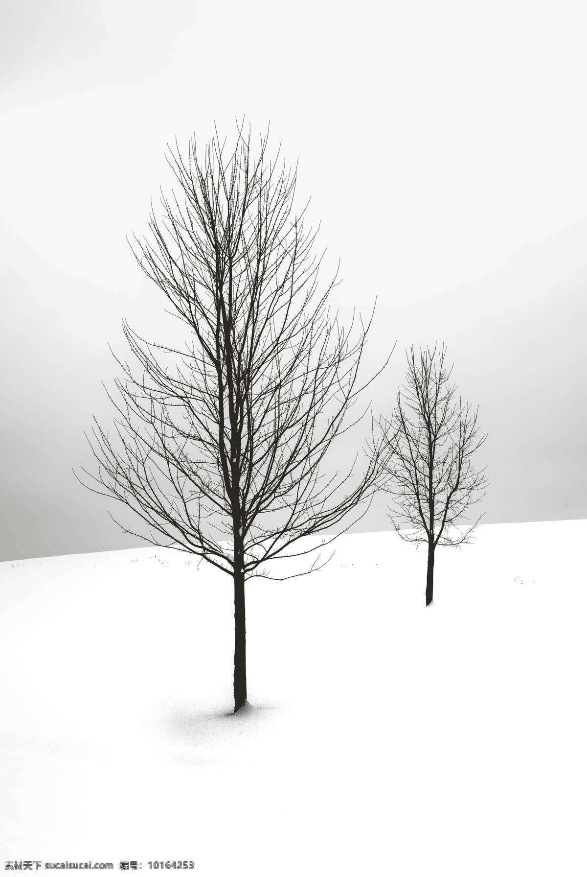 雪地树木 雪地 树木 干净 纯净 冬季 空灵 雪景 雪景图片 雪景图 雪景壁纸 雪景桌面 雪景照片 雪景素材 冬天雪景图片 自然景观 自然风景