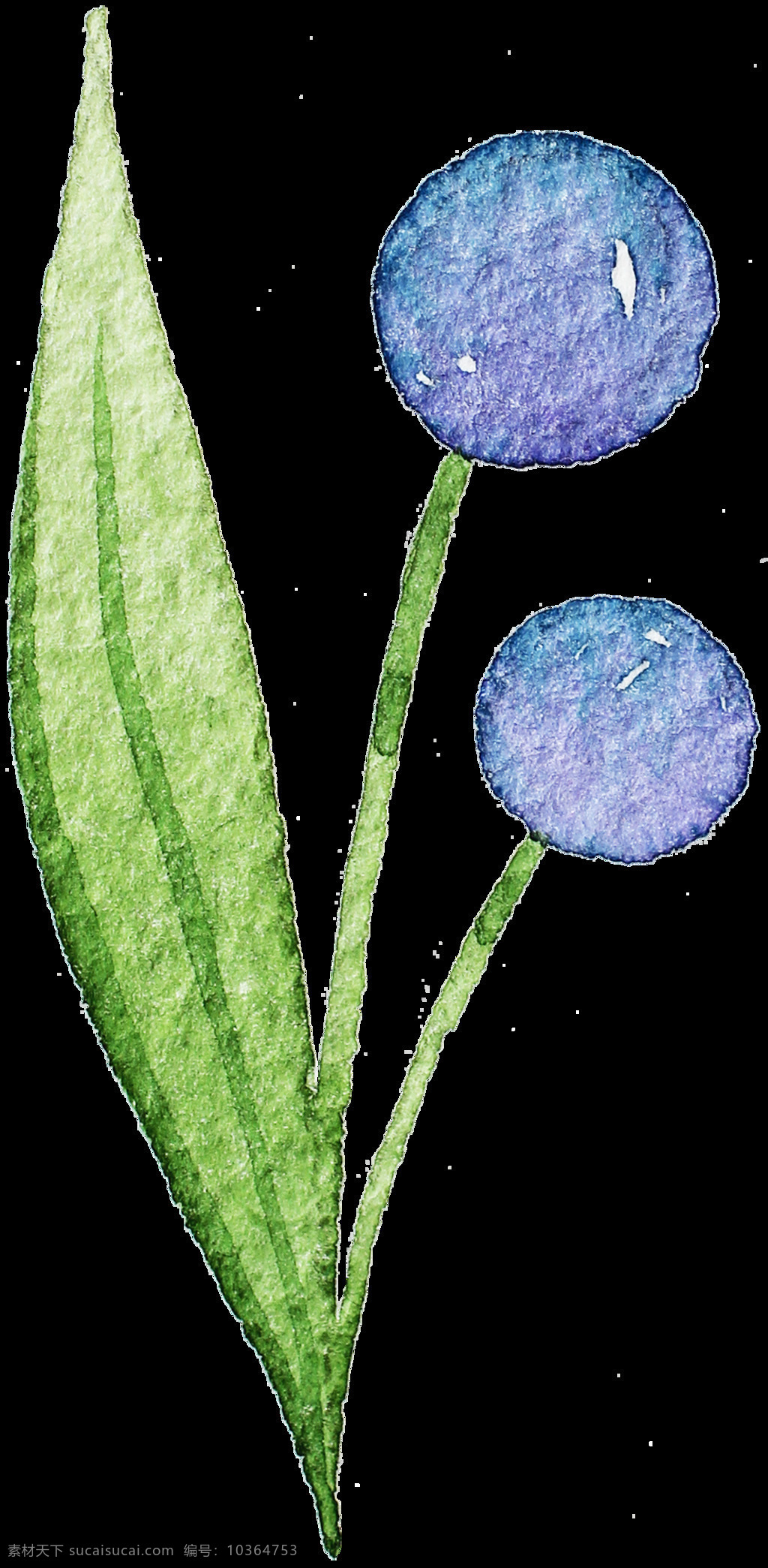 手绘植物 水彩植物 水彩花卉 彩色植物 卡通植物 清新植物 可爱植物 水彩风 清新 插图