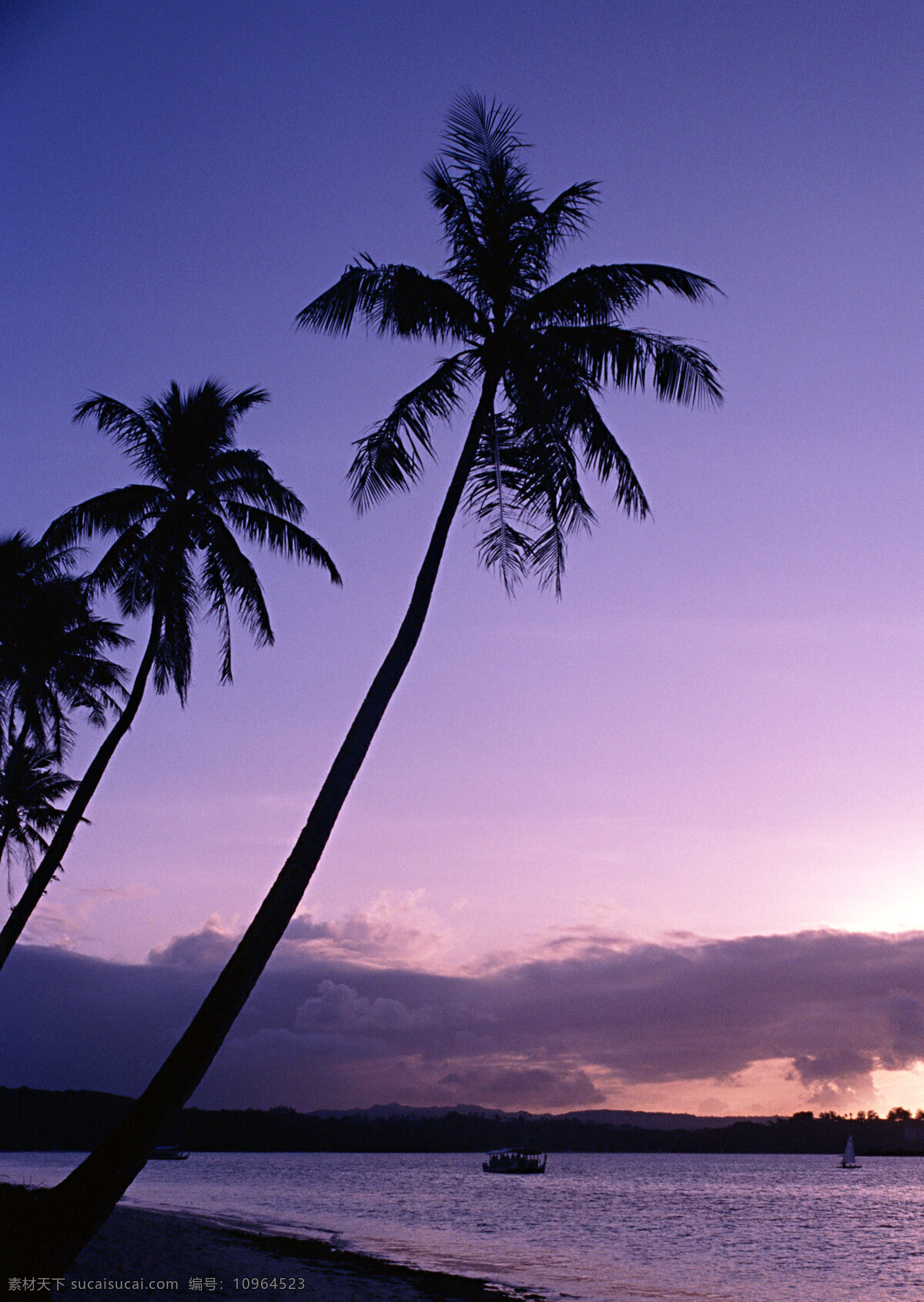 黄昏 时 夏威夷 海 夏威夷风光 美丽风景 大海 海岸风情 海滩 海景 美景 海面 傍晚 椰树 大海图片 风景图片