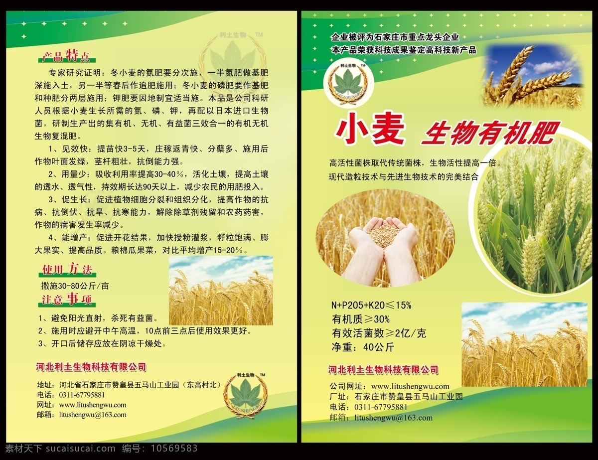 小麦宣传单 小麦 农业宣传单 小麦单页 丰收 麦穗 dm宣传单 分层 分层素材