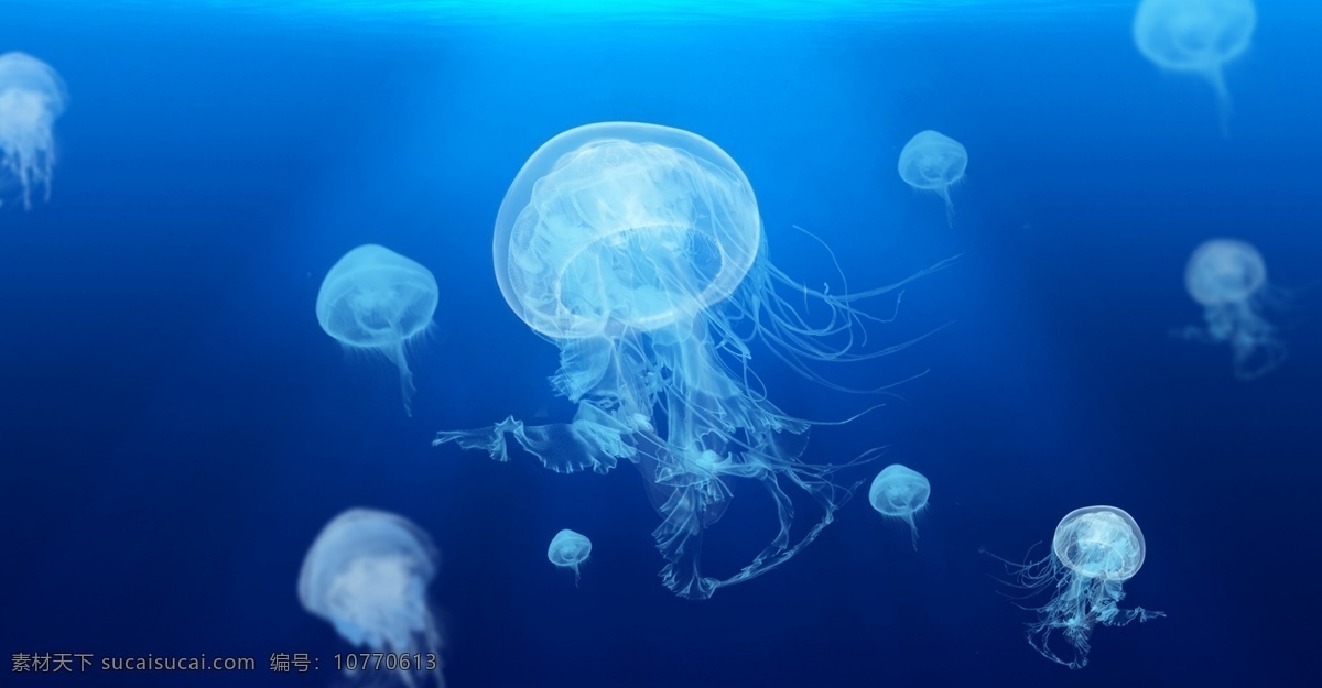 唯美 风 海底 生物 高清 水母 海报 唯美风 梦幻 大群水母 大海 海洋 蓝色 背景