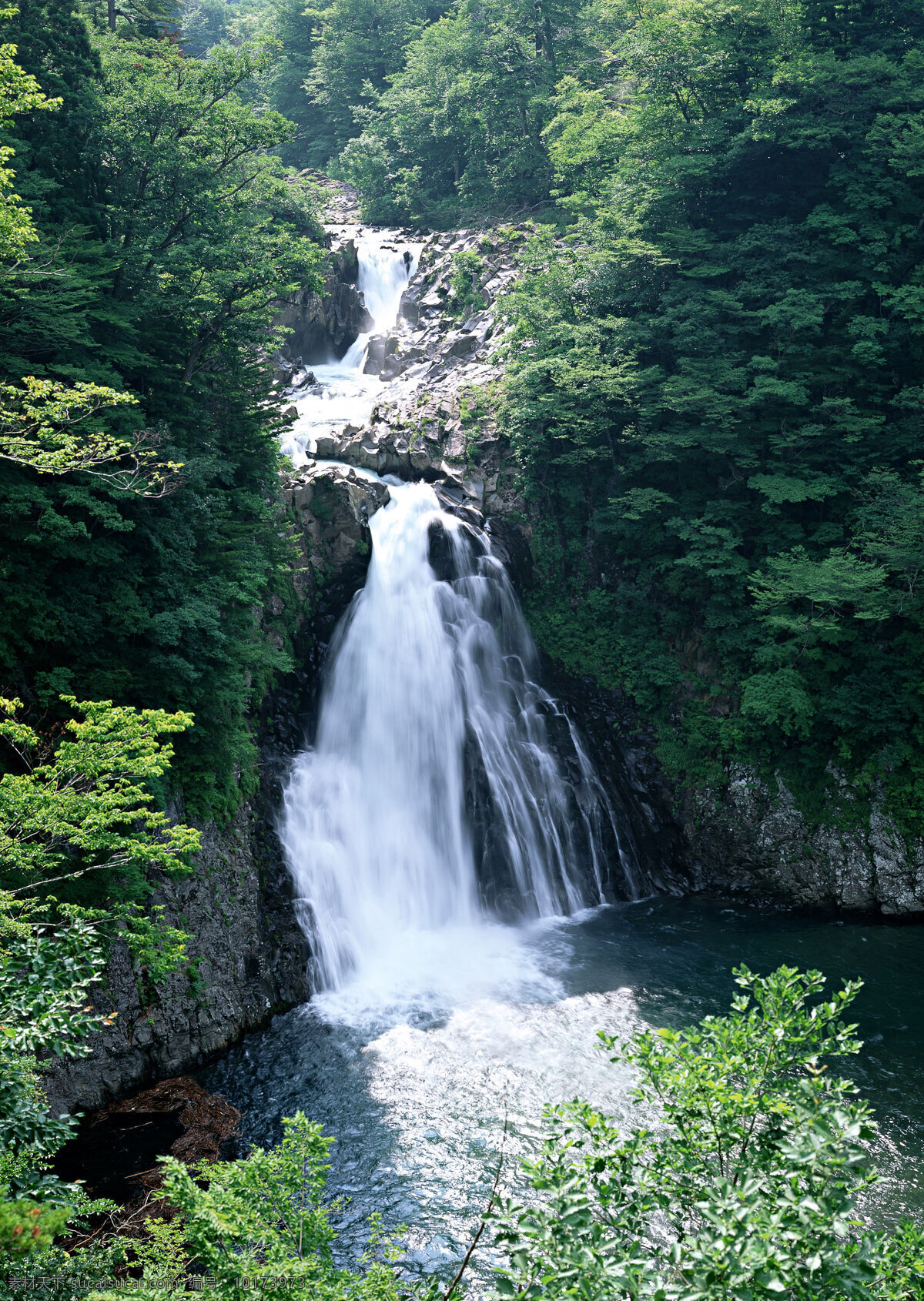 自然 风景 瀑布 水花 水雾 溅出 湍急 急流 岩石 水涧 森林环绕 自然风景 自然景观 黑色