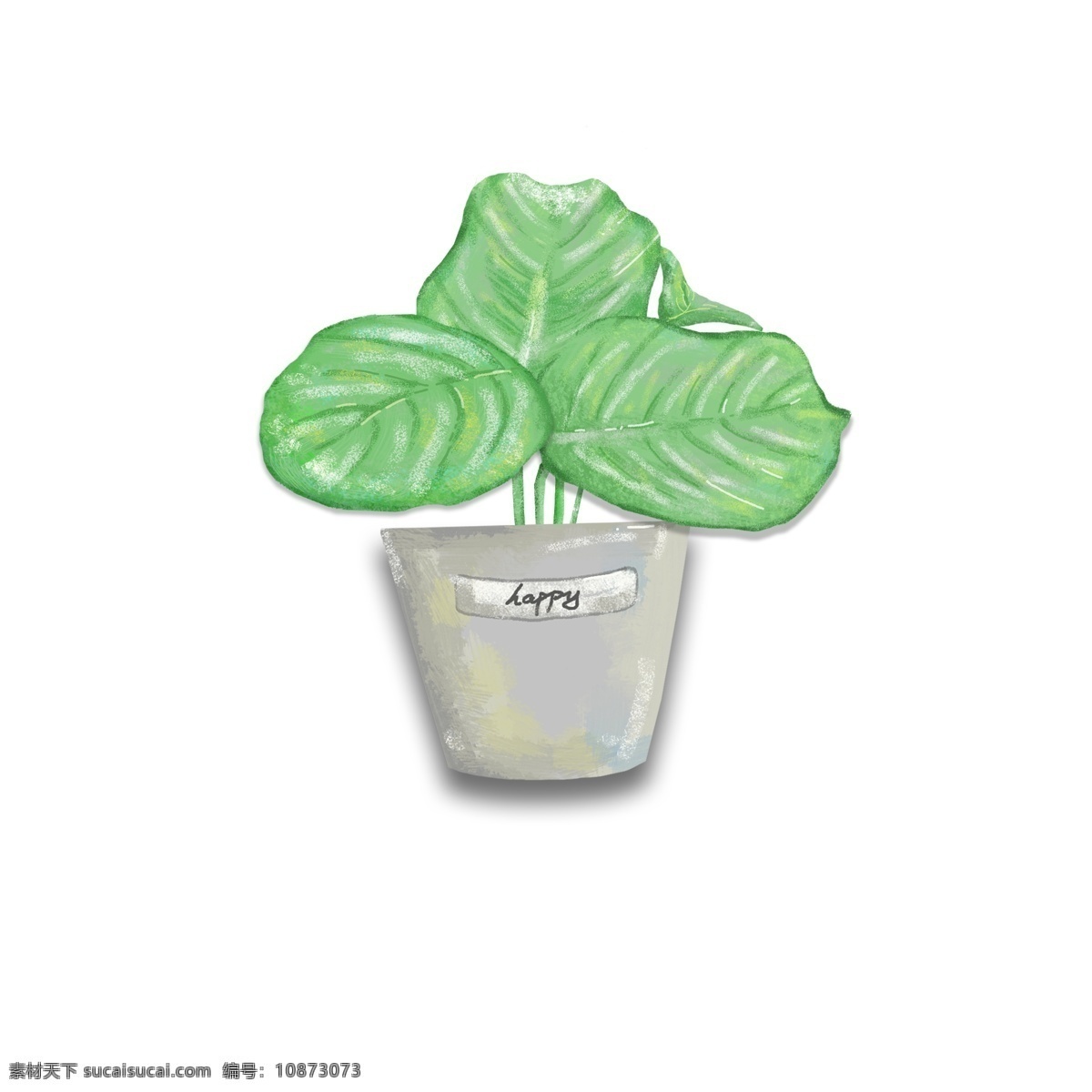 手绘 植物 青苹果 竹芋 商用 元素 盆栽 绿色 小清新 青苹果竹芋