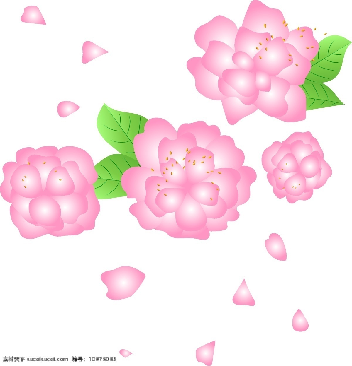 矢量 免 扣 卡通 粉色 花朵 粉色桃花 桃花树枝 花芯花蕊 花瓣 花卉花朵 玫瑰 桃花盛开 梅花 腊梅 粉红色桃花 桃花樱花