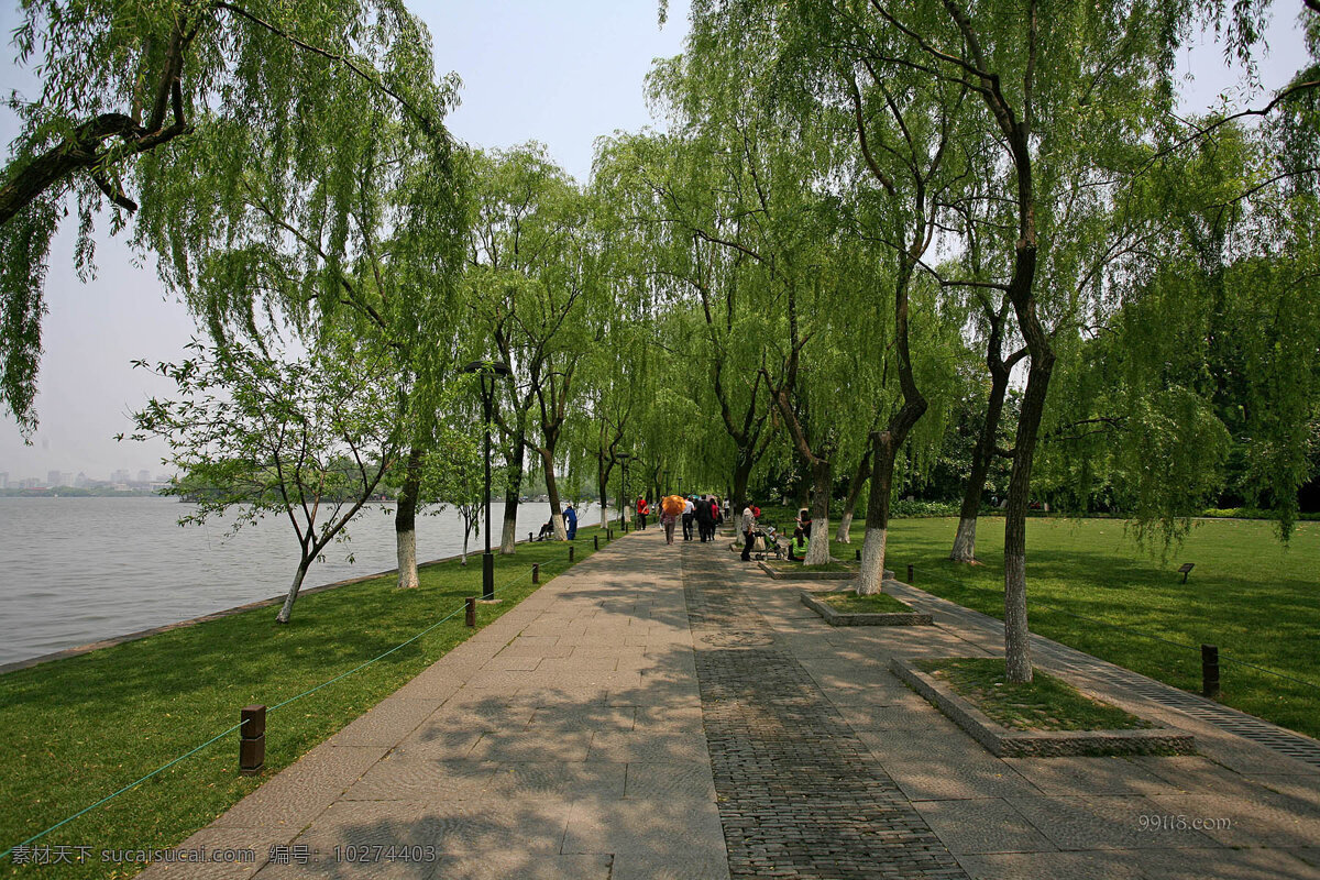 柳浪闻莺 杭州 西湖十景 山水风景 自然景观