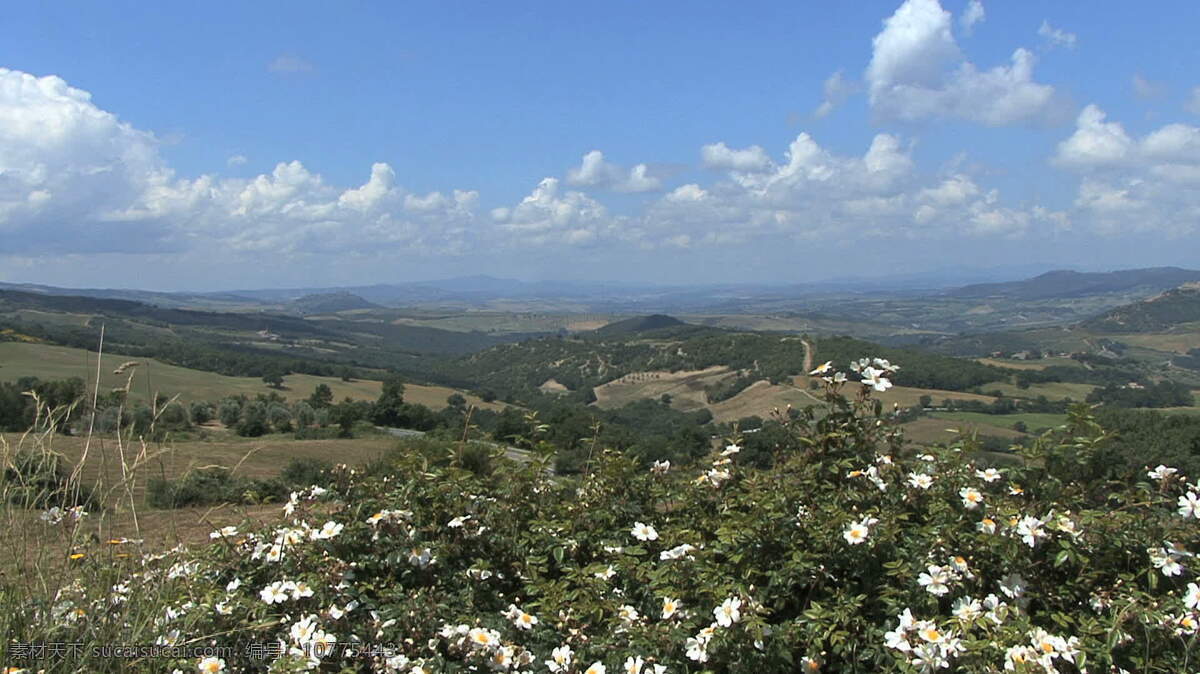托斯卡纳 玫瑰 景观 股票 录像 白色 灌木 花 视频免费下载 天空 意大利 云 佛罗伦萨 其他视频
