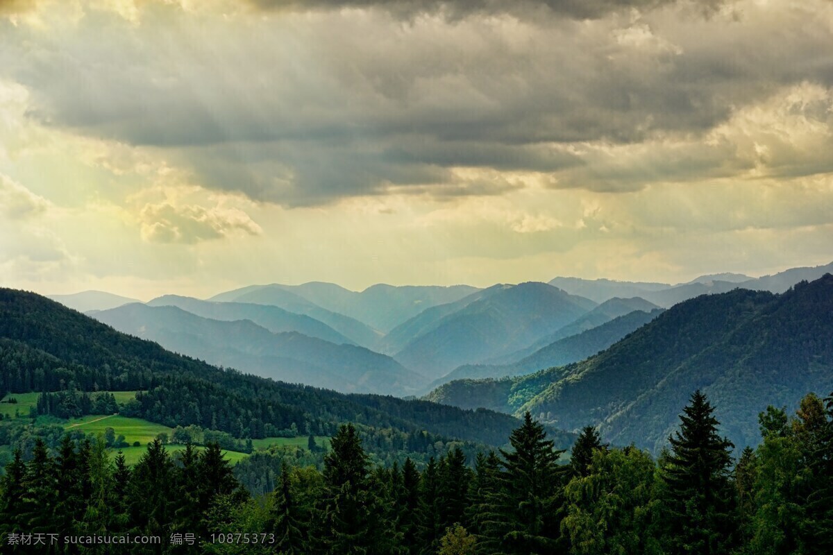 山林 郊外 远景 树林 森林 自然景观 自然风景