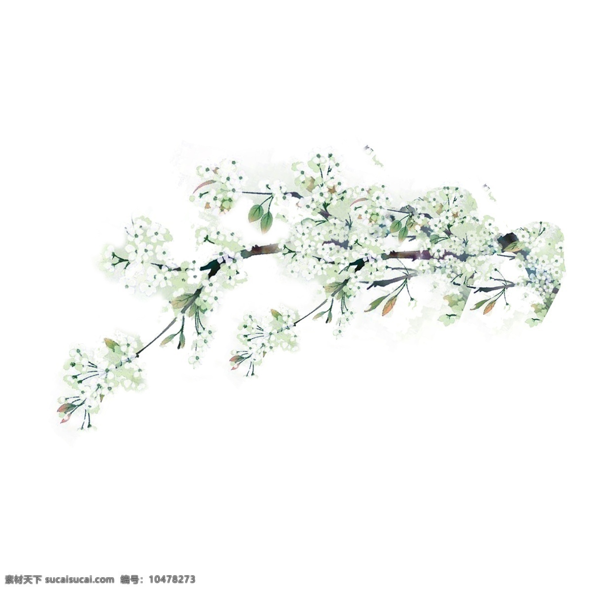 手绘 绿色 树枝 卡通 透明 树木 小树 水彩 叶子 浪漫 唯美 清雅 装饰图案