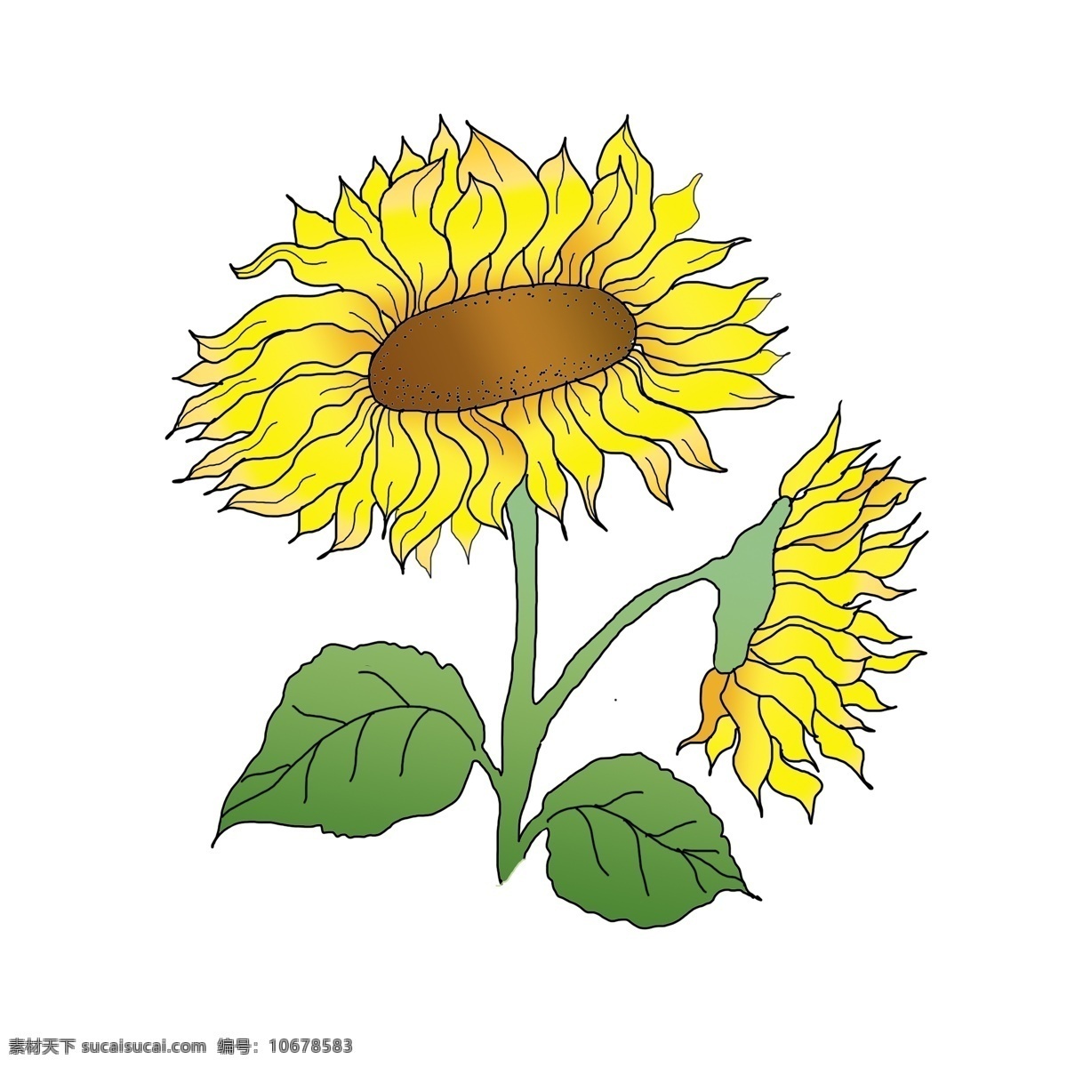 向日葵 手绘 风向 日 葵花 商用 元素 手绘花卉 手绘花 花卉 叶子 手绘向日葵 向日葵手绘