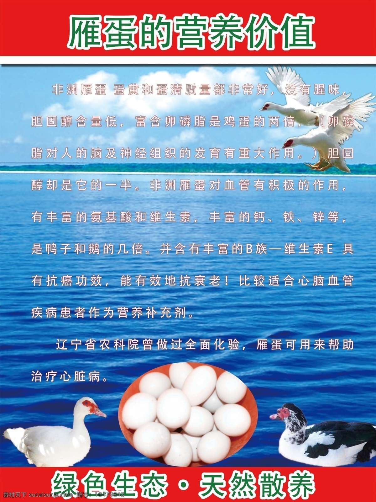 雁 蛋 营养 价值 雁蛋图 kt板 产品宣传 大雁蛋 设计图 室外广告设计