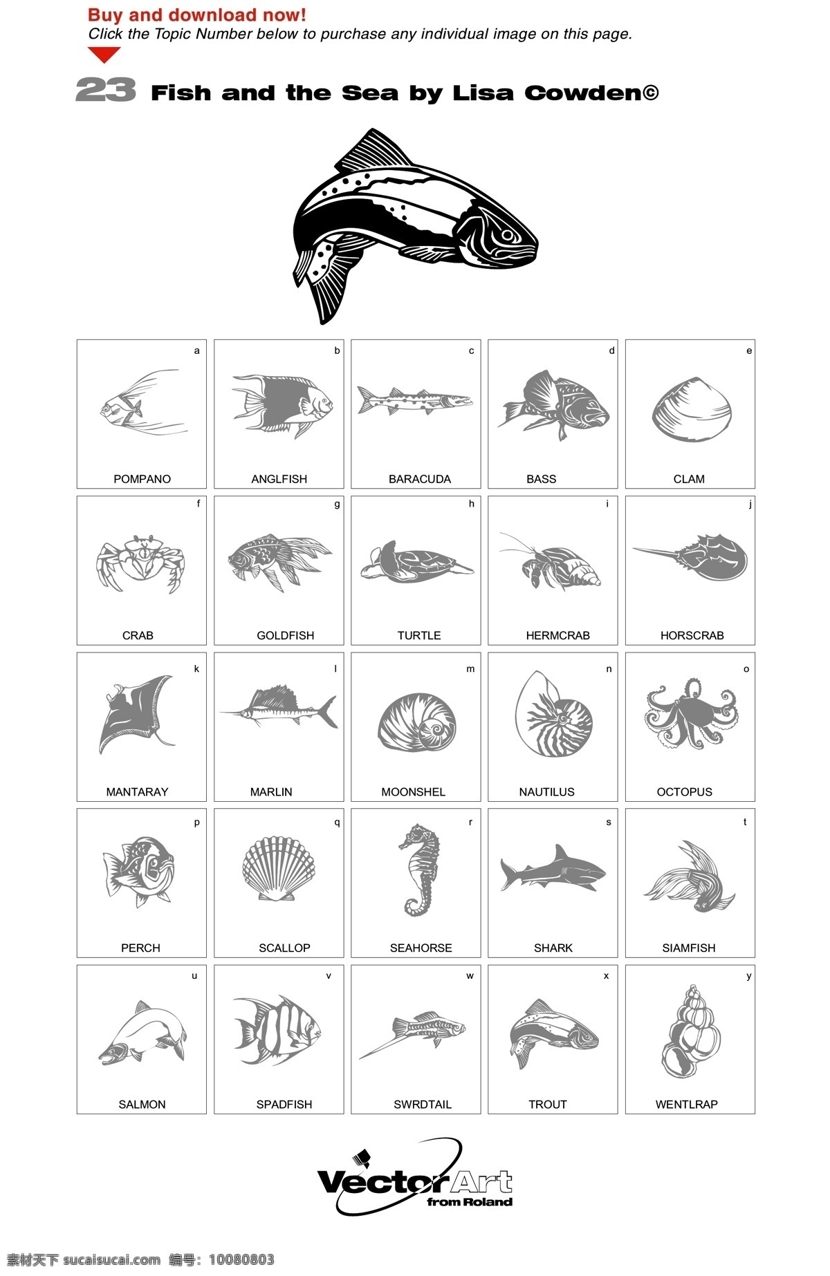 鱼类 海洋生物 矢量 贝壳 材料 海马 海洋 生活 蜗牛 蟹 鱼 黑色和白色 画线 矢量图 矢量人物