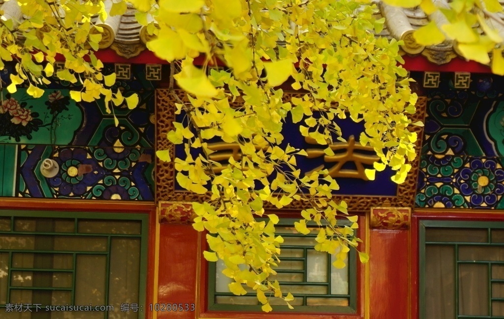 八大处 秋景 北京 旅游 秋色 银杏 黄叶 旅游摄影 国内旅游