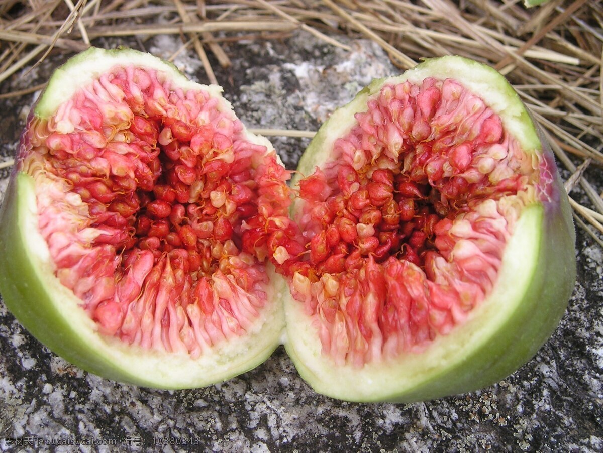 无花果 新疆水果 有机水果 绿色水果 农产品 生物世界 水果