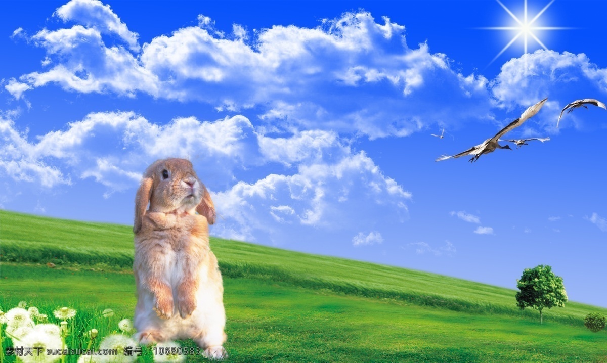 和谐大自然 鲜花 兔子 鸟 天空 树 草原 绿地 太阳 自然风光 分层 源文件