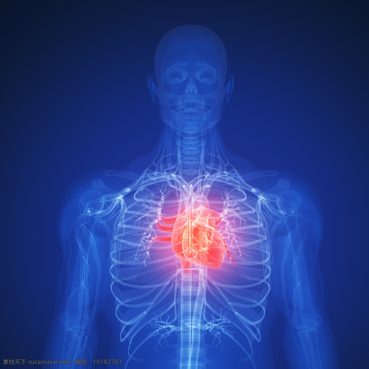 人体 肺部 x 光 透视图 医疗主题 x光 图像 医疗护理 现代科技