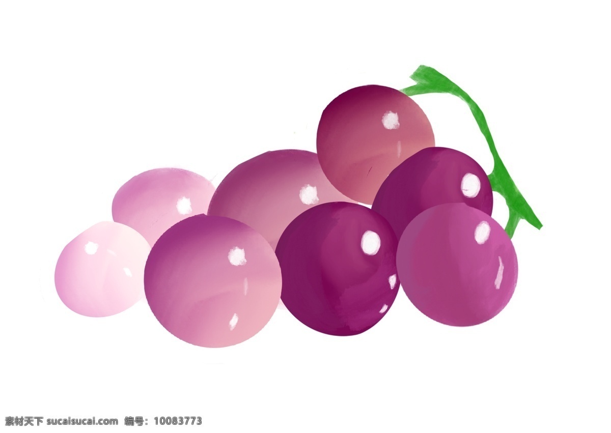 紫色新鲜葡萄 葡萄 水果 食物
