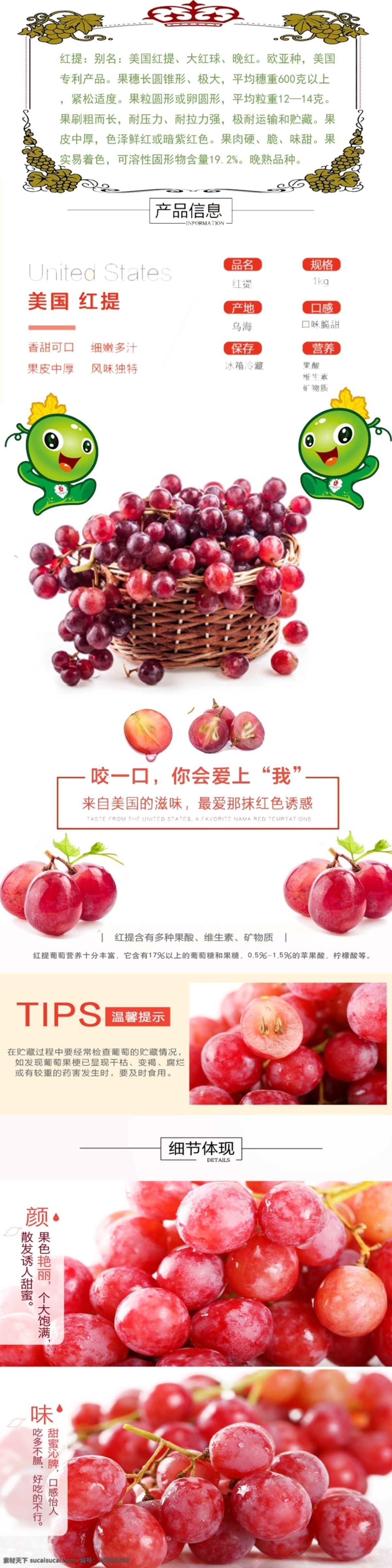红提介绍海报 红提 高清 介绍 宣传海报 白色