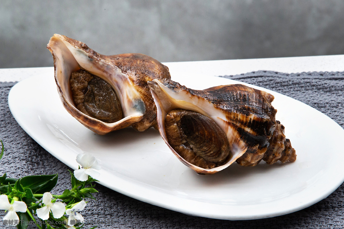 大海螺 美食 高清菜谱用图 餐饮美食 传统美食 西餐美食