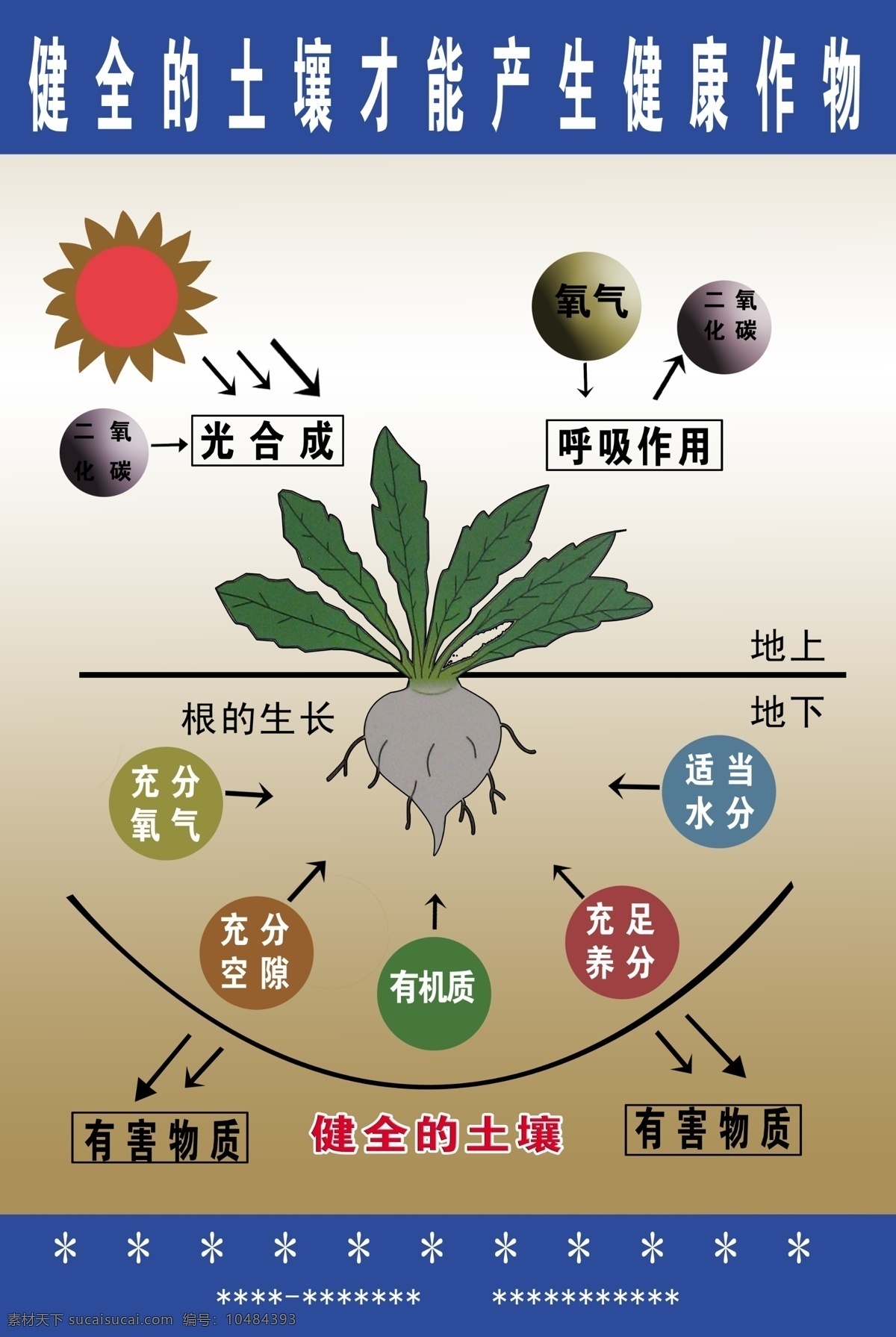 健全 土壤 分层 广告牌 源文件 健全的土壤 合理施肥 土壤科学 土壤与植物 矢量图