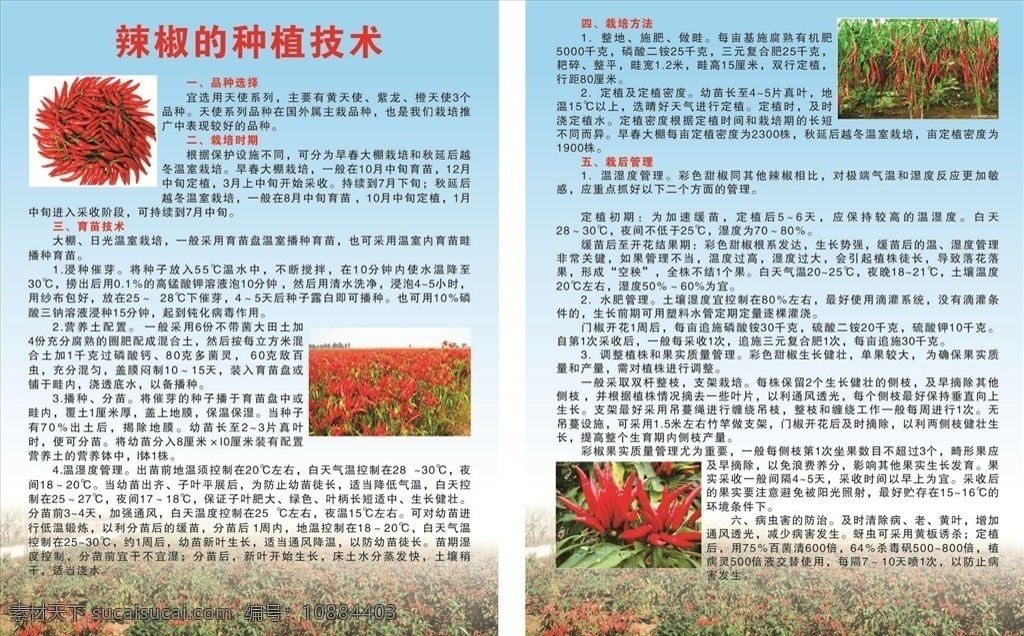 辣椒 种植技术 种植 种子 农药 化肥 辣椒苗 名片cdr 名片卡片