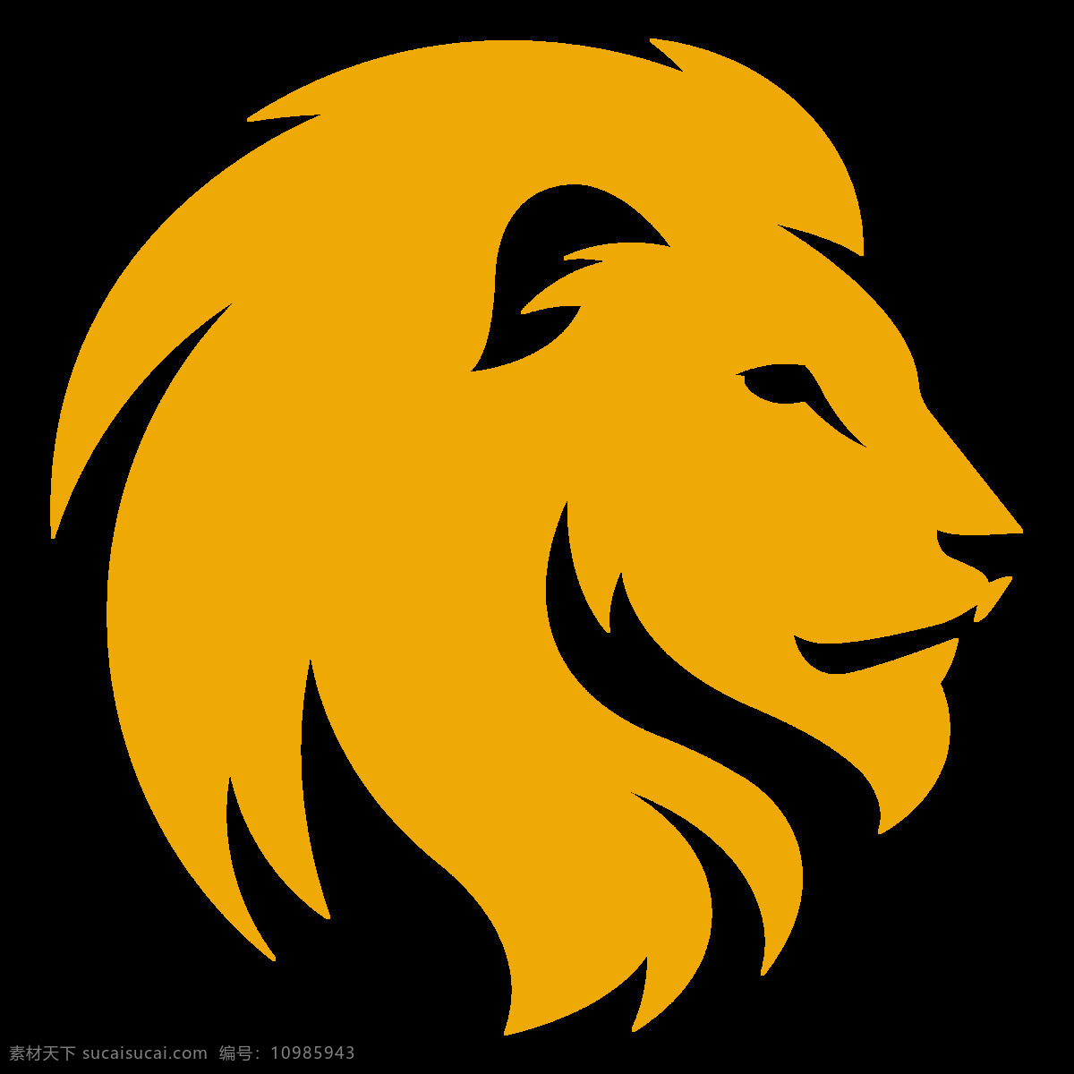 手绘 黄色 狮子 免 抠 透明 头像 黄色手绘狮子 元素 狮子高清图 非洲狮子 野生动物