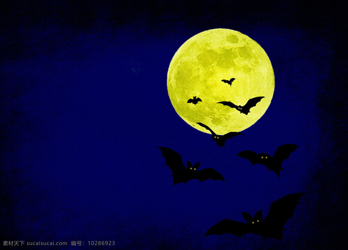 位图 动物 蝙蝠 色彩 彩色 免费素材 面料图库 服装图案 黑色