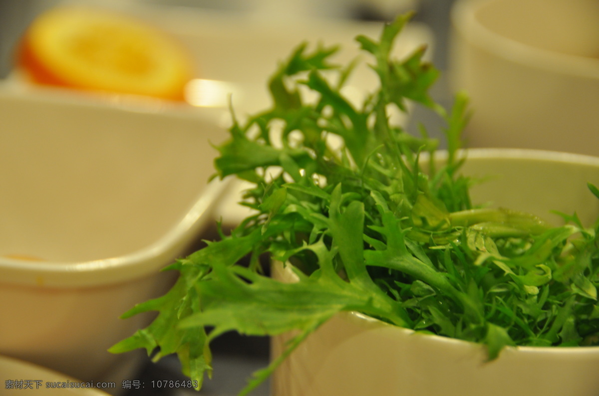 微 距 蔬菜 餐饮美食 食物原料 蔬菜水果 微距 香菜 微距蔬菜 风景 生活 旅游餐饮