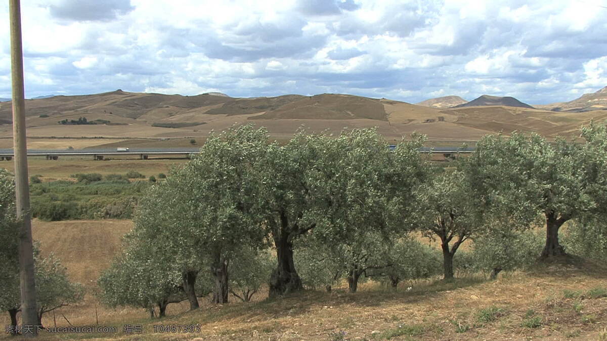 西西里岛 景观 77 股票 录像 道路 视频免费下载 树木 天空 意大利 云 自然 其他视频