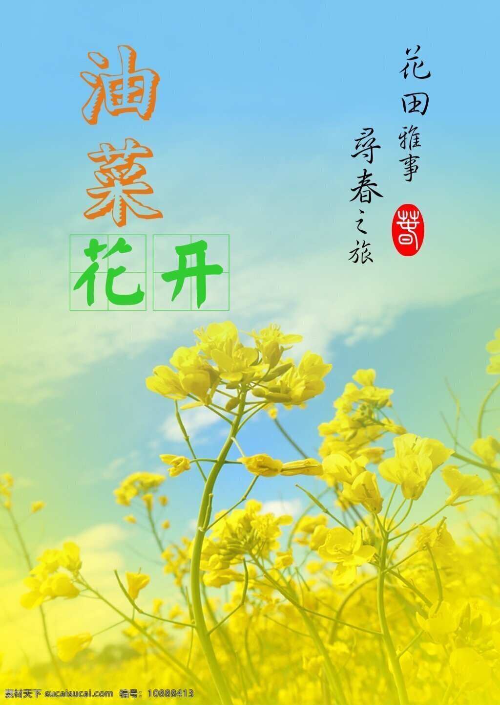 油菜花 宣传 平面设计