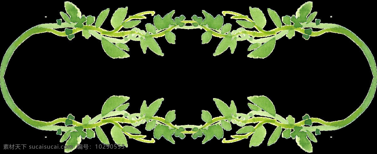 椭圆形 植物 透明 卡通 抠图专用 装饰 设计素材